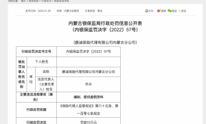 因编制、提供虚假资料，鹏诚保险代理内蒙古分公司被罚款10万元